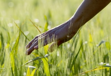 Notre engagement sociétal et environnemental